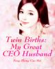 Twin Births： My Great CEO Husband