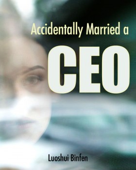 Accidentally Married a CEO