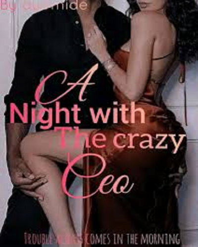 A NIGHT WITH THE CRAZY CEO