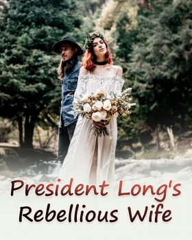 President Brown's Rebellious Wife